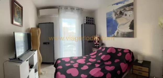 Life-annuity Argeles-sur-mer 3 rooms 56 m2 Pyrenees orientales (66700) photo 3