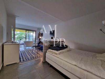 Vacation rentals Cannes Croisette 1 room Alpes Maritimes (06400) photo 0