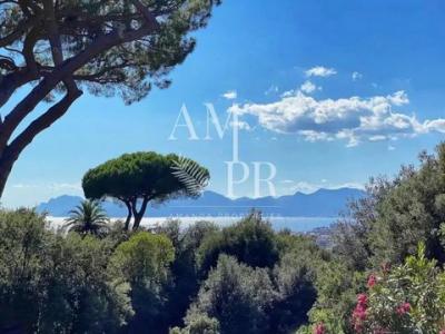 Vacation rentals Cannes 5 rooms 125 m2 Alpes Maritimes (06400) photo 1