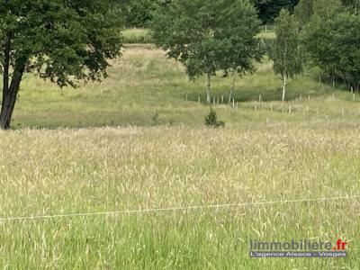 For sale Mandray 10680 m2 Vosges (88650) photo 0