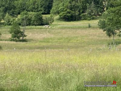 For sale Mandray 10680 m2 Vosges (88650) photo 1