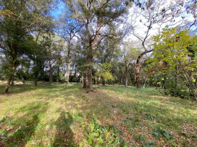 For sale Saint-jean-de-vedas 3800 m2 Herault (34430) photo 0