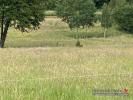 For sale Land Mandray  10680 m2