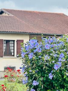 For sale Saint-gaudens Haute garonne (31800) photo 0