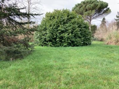 For sale Saint-selve 800 m2 Gironde (33650) photo 0