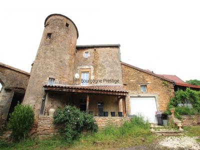 For sale Tournus 3 rooms 104 m2 Saone et loire (71700) photo 0