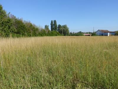 For sale Loir et cher (41000) photo 0