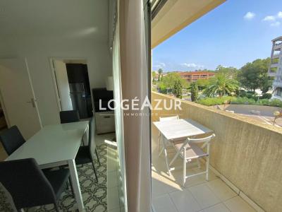 For rent Juan-les-pins 1 room 27 m2 Alpes Maritimes (06160) photo 3