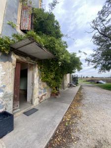 For sale Caderousse Vaucluse (84860) photo 2