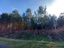 For sale Forested aera Bauge  8234 m2