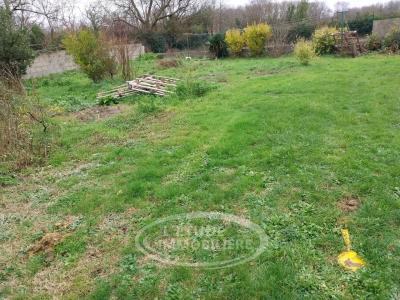 For sale Pont-saint-martin 380 m2 Loire atlantique (44860) photo 0