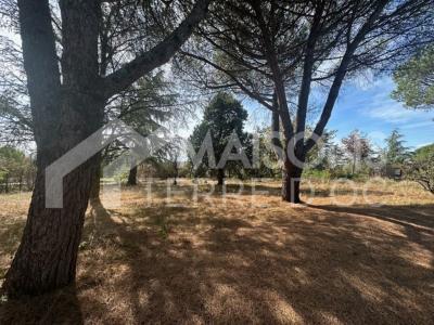 For sale Saix 669 m2 Tarn (81710) photo 0