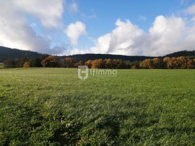 For sale Poulieres 4162 m2 Vosges (88600) photo 0