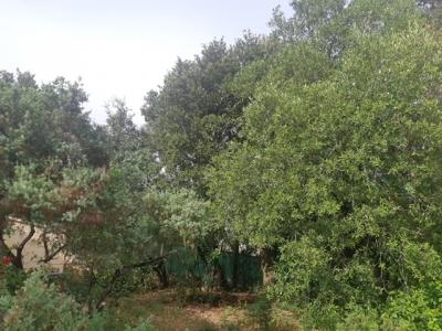 For sale Boissiere 1270 m2 Herault (34150) photo 1