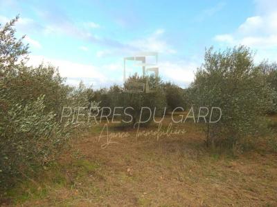 For sale Uzes 9299 m2 Gard (30700) photo 0