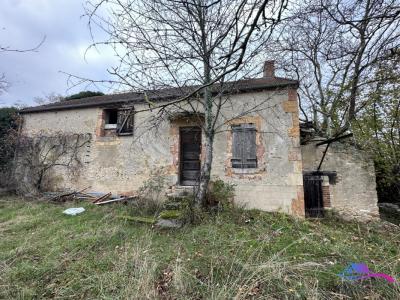 For sale Epineuil-le-fleuriel 3 rooms 80 m2 Cher (18360) photo 0