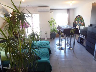 For rent Perpignan Pyrenees orientales (66000) photo 0