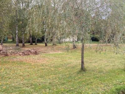 For sale Lesparre-medoc 65 m2 Gironde (33340) photo 0