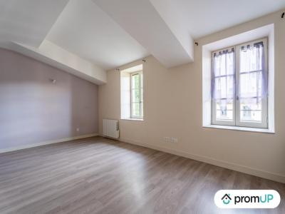 Acheter Appartement Vienne 160000 euros