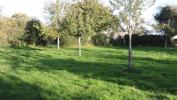 For sale Land Hauville  950 m2