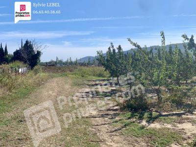 For sale Bouleternere 10000 m2 Pyrenees orientales (66130) photo 1