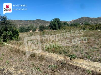 For sale Bouleternere 10000 m2 Pyrenees orientales (66130) photo 3