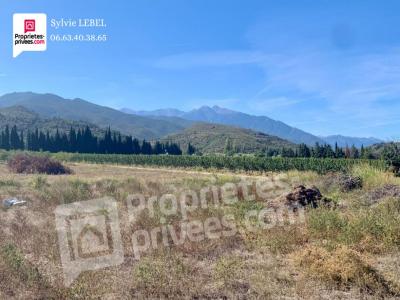 For sale Bouleternere 10000 m2 Pyrenees orientales (66130) photo 4