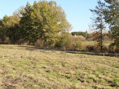 For sale Negrepelisse Tarn et garonne (82800) photo 0