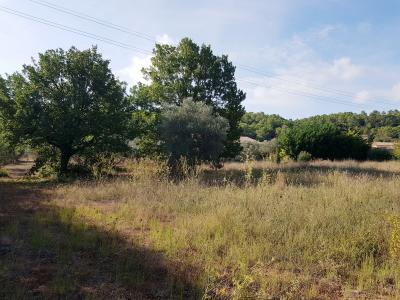 For sale Clermont-l'herault 2000 m2 Herault (34800) photo 0