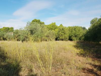 For sale Clermont-l'herault 2000 m2 Herault (34800) photo 1