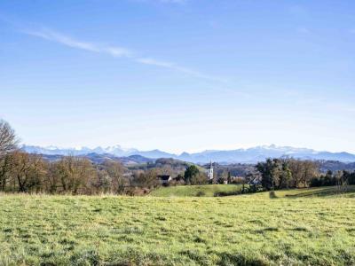 For sale Saint-palais 7 rooms 200 m2 Pyrenees atlantiques (64120) photo 4