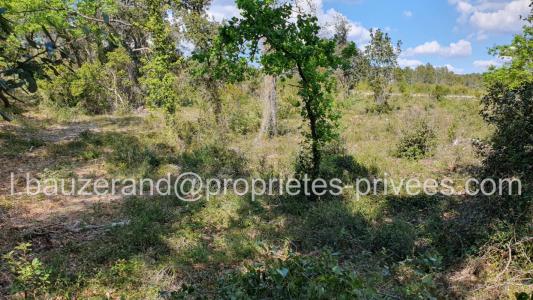 Annonce Vente Terrain Uzes 30