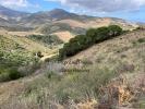 For sale Land Banyuls-sur-mer  8000 m2