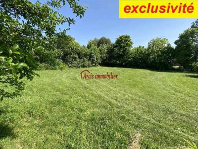 For sale Arcis-sur-aube 1392 m2 Aube (10700) photo 0