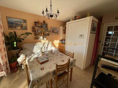 Life-annuity Cannet 1 room 25 m2 Alpes Maritimes (06110) photo 1