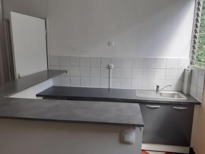 Annonce Location 2 pices Appartement Abymes 971
