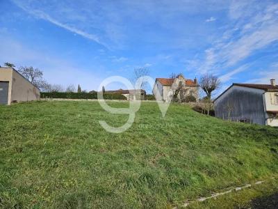 For sale Maurs Cantal (15600) photo 4