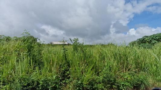 For sale Capesterre-belle-eau 500 m2 Guadeloupe (97130) photo 0