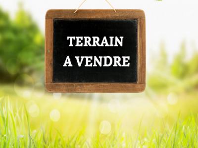 Annonce Vente Terrain Cappelle-en-pevele 59