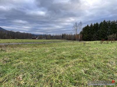 For sale Raves 2261 m2 Vosges (88520) photo 0