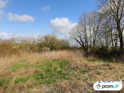 For sale Beauval 1397 m2 Somme (80630) photo 2