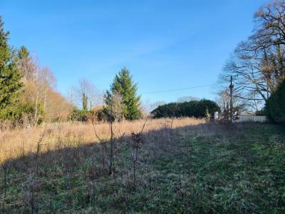 For sale Royeres 2755 m2 Haute vienne (87400) photo 0