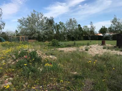 For sale Pont-l'abbe-d'arnoult 360 m2 Charente maritime (17250) photo 0