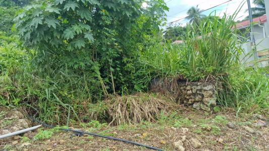 For sale Abymes 285 m2 Guadeloupe (97139) photo 0