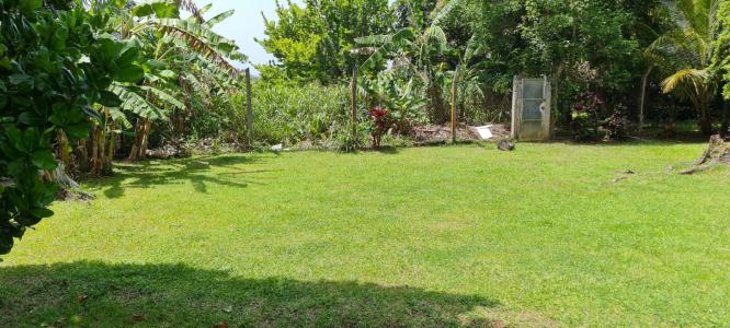 For sale Baie-mahault 1535 m2 Guadeloupe (97122) photo 4