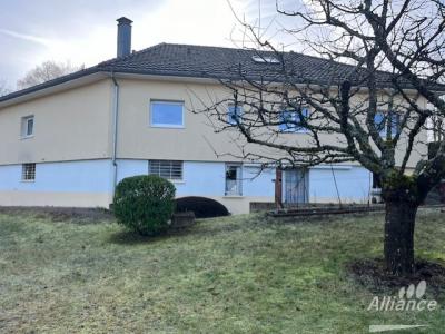 For sale Montbeliard 7 rooms 282 m2 Doubs (25200) photo 1