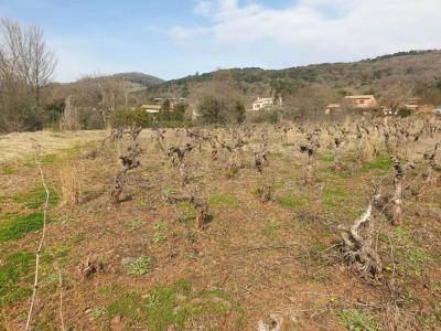 For sale Octon 1959 m2 Herault (34800) photo 2