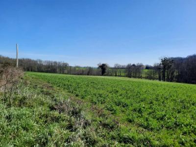 For sale Mezieres-sous-lavardin 4535 m2 Sarthe (72240) photo 0