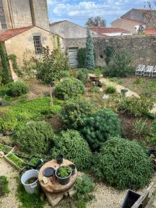 For sale Rochefort 2 rooms 600 m2 Charente maritime (17300) photo 2
