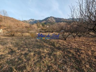 For sale Fillols 1015 m2 Pyrenees orientales (66820) photo 1